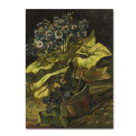 Van Gogh 'Cineraria' Canvas Art,24x32